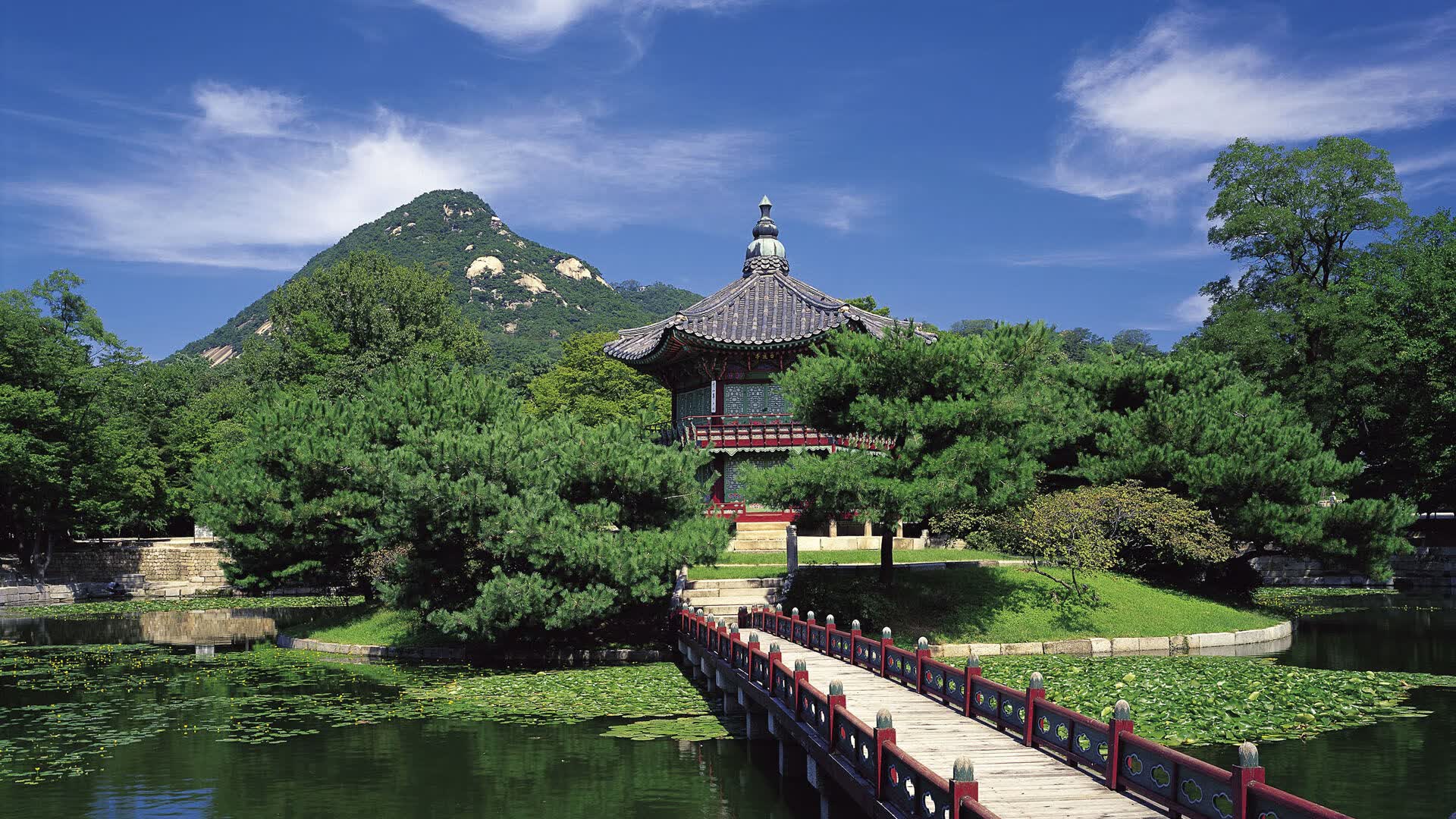 世界游泳锦标赛志愿者招募与培训体系优化建议，游泳世界锦标赛几年举办一次